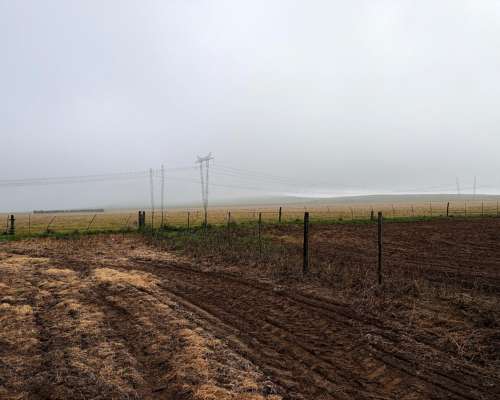220 Ha Cabildo, Tornquist