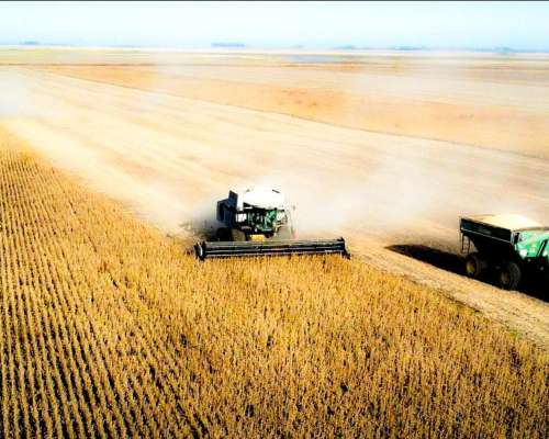 Venta Campos Pergamino y Zona