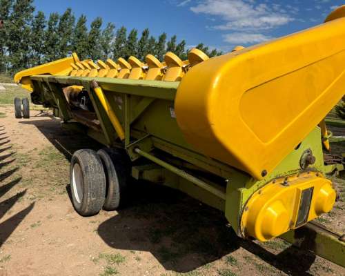 Maicero Allochis de 14 a 52