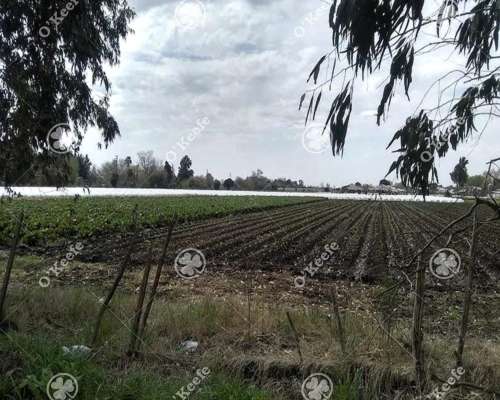 4 Has para Desarrollo en Berazategui Calle 517