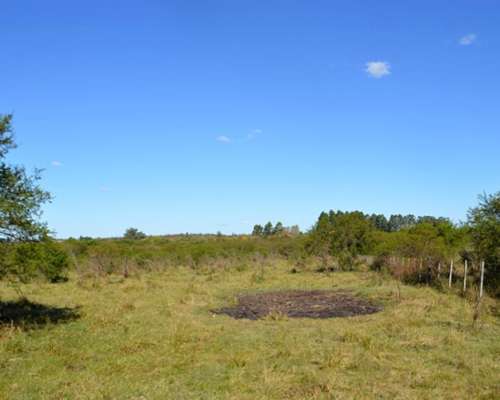Campo de 30 HA. Sobre Ruta Prov. 39 (entre Ríos)
