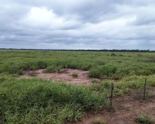 Joaquin V Gonzalez, Anta, Salta - 5.500 Ha