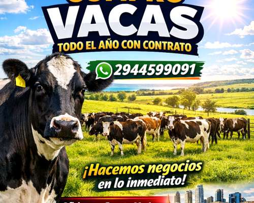 Compro Vacas Todo el año con Contrato
