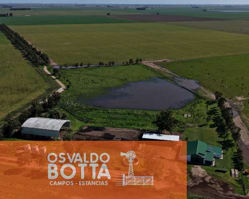 Campo Mixto en Venta, 800has en Coronel Dorrego, BS AS