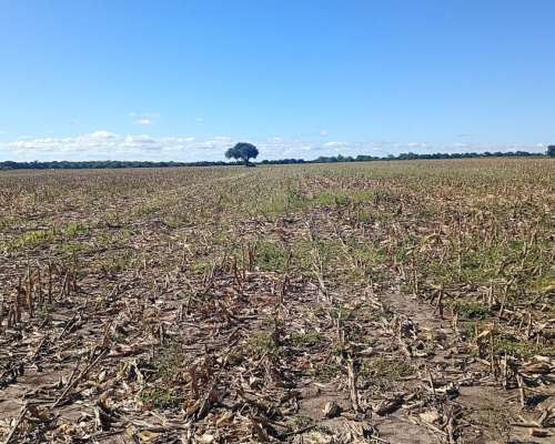 313has Agrícolas Parte con Monte