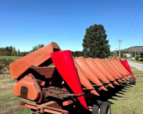 Maicero de Grande de 10 a 70 cm