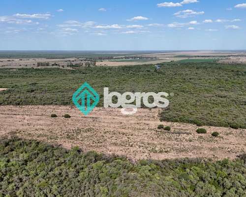Campo en Venta de 385 Ha en Joaquín V. González, Salta