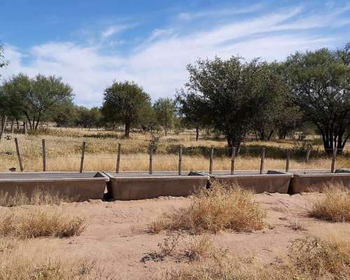Campo Mixto en Venta - 1549 Hectáreas