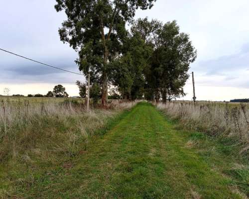 Campo en Venta en Punta Indio - 50 Hectáreas