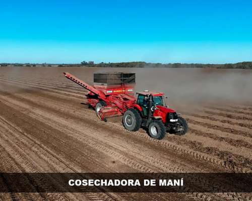 Cosechadora de Maní Bombassei AXD 700