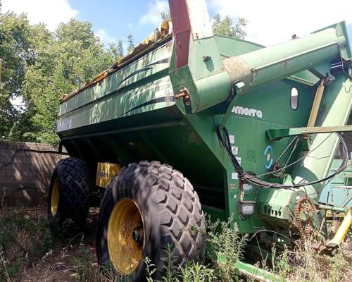 Autodescargable Comfra 2022 TN con Balanza Magris