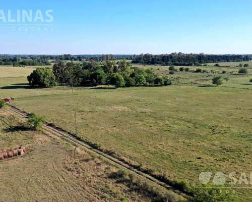 Campo Entre Manzanares y Open Door 83 Ha