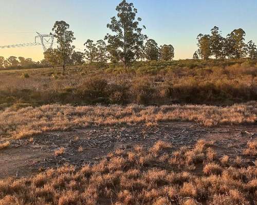 Campo de 30 Hectareas