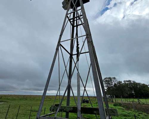 Alquiler Campo Cria 72 Kg/ha