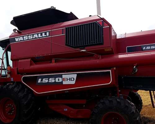 Vassalli 1550 EHD 2023. 30 Pies