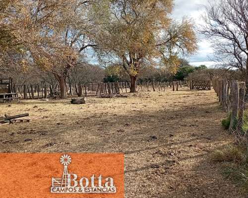 Campo Ganadero en Venta — 3.200 Has Rancul, la Pampa