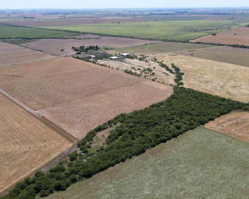 150 Hectáreas Agrícolas en Gualeguaychú.