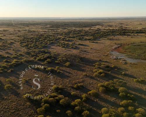 Campo Ganadero. 250 Hectáreas. Capivara, Santa FE.