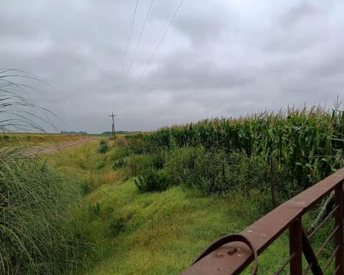 Campo en Venado Tuerto