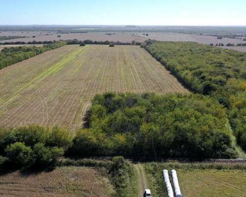 Aldea Asunción, Gualeguay, Entre Ríos - 22 Ha