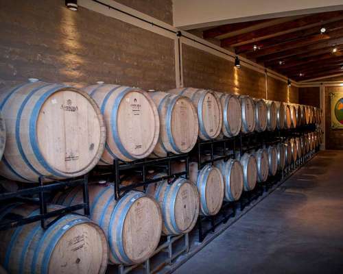 Pcia. de Salta - Bodega Miraluna - Cachi 16 Has