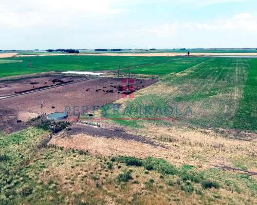 Excelente Campo Mixto en Venta. Juan N Fernandez - Necochea