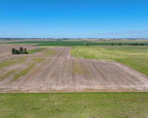 Pcia. de Santa FE - Perez 265 Has