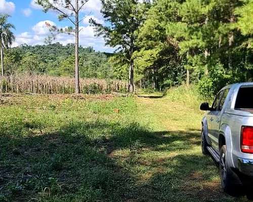 Se Vende 29 HA. con 4 Ha de Yerba Mate. Gobernador Roca Misi