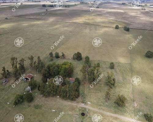 Campo en Venta de 227 Has en Ranchos. Mixto