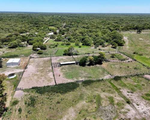 1491 Has Ganaderas de Cría - la Gallareta - Vera - Santa FE