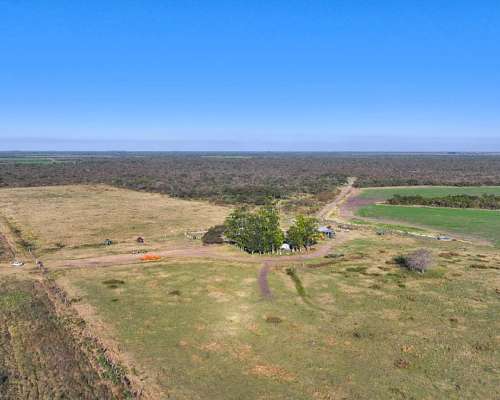 Pcia. de Entre Rios - San Jose de Feliciano 1960 Ha