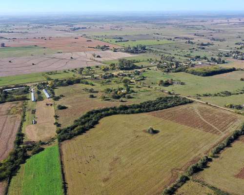 Chacra P/ Vivienda C/campo Agrícola 34 Ha Gualeguay, E. Rios