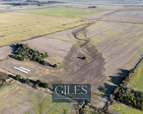 30 Hectáreas Agrícola Baradero Portela