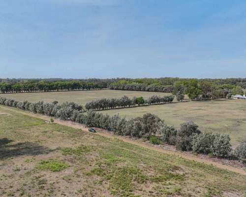 Pcia. de Buenos Aires - Pilar 18 Has