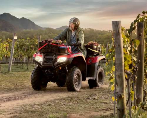 Cuatriciclo Honda TRX 420 FM 4X4 Rojo Entrega Inmediata