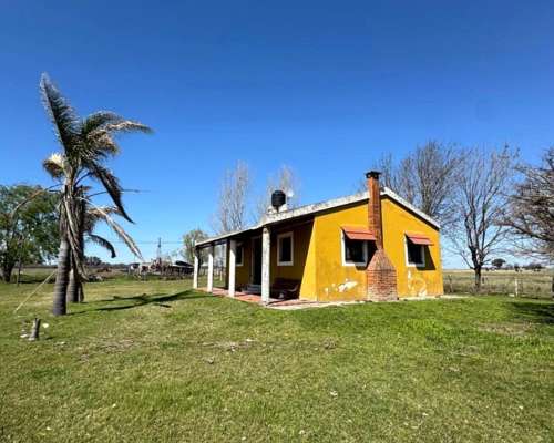 Campo Mixto de 50 Hectáreas