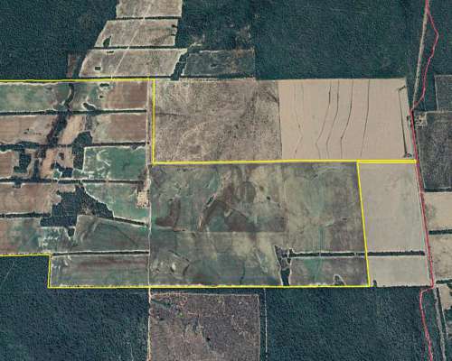 Campo Mixto de 900 Has en Rosario de la Frontera