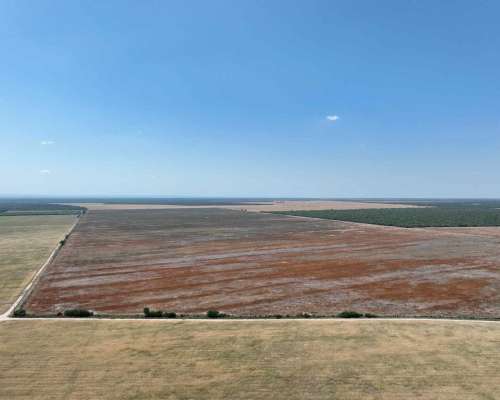 Pcia. de Catamarca - Bañado de Ovanta 437 Has