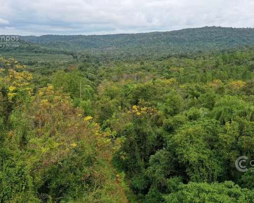 Se Vende. Campo Jardín América. de 306 Ha en SU Mayoria Mont