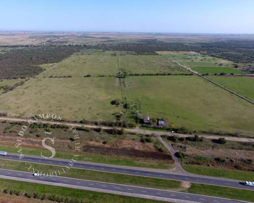 Campo Mixto. 64 Has. Coronda, Santa FE