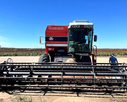 Cosechadora Massey Ferguson 5650
