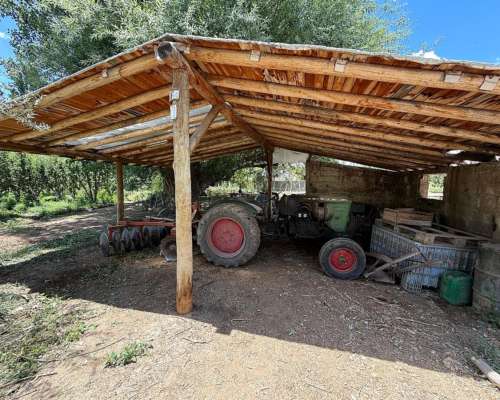 Finca de Ciruelos en Corralitos Mendoza