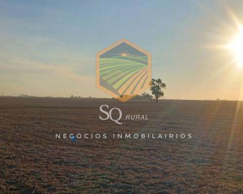 6 Agrícolas en Vedia.