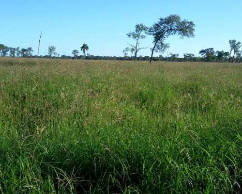 Estancia Ganadera Cría Desarrollada Mejoras Pasturas