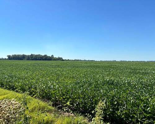 120 Has 100 % Agrícolas sin Desperdicios