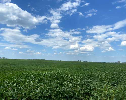 176 Hs en Comechingones Cordoba Totalmente Agricolas