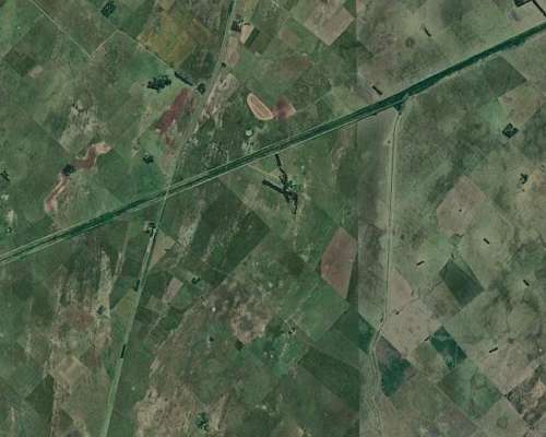 Campo Ganadero 284 Has Rauch