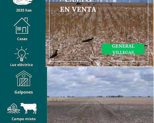 Campo en General Villegas 2035 Has
