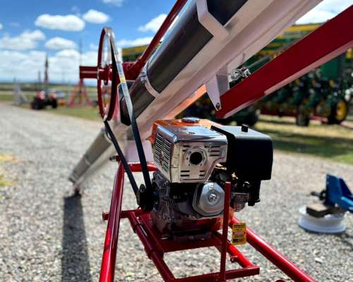 Chimango de PVC con Motor a Explosión