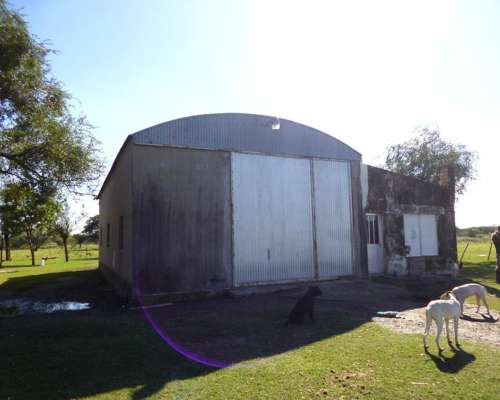 8.443 Has. en Venta - Logroño, 9 de Julio - Santa FE.